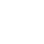 Reel Angling Adventures